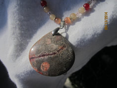 Puffy teardrop nipomo coral fossil Picture